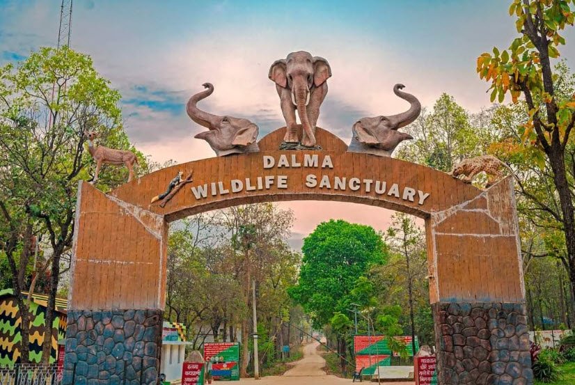 Koderma Wildlife Sanctuary, Koderma, Jharkhand - Vushii.com